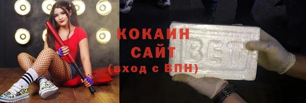 стафф Алексин