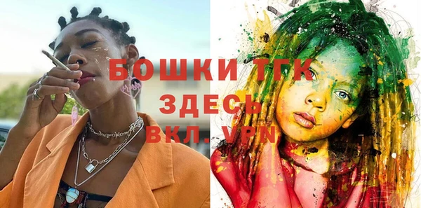стафф Алексин
