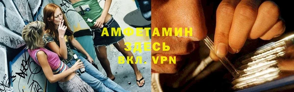 стафф Алексин
