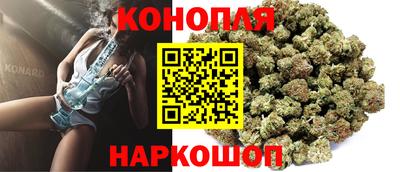 прущие грибы Апшеронск