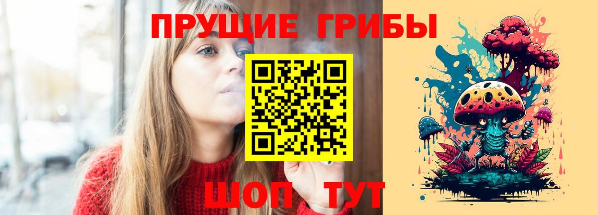 Апшеронск  даркнет сайт  Вход с VPN  Галлюциногенные грибы Psilocybine cubensis 